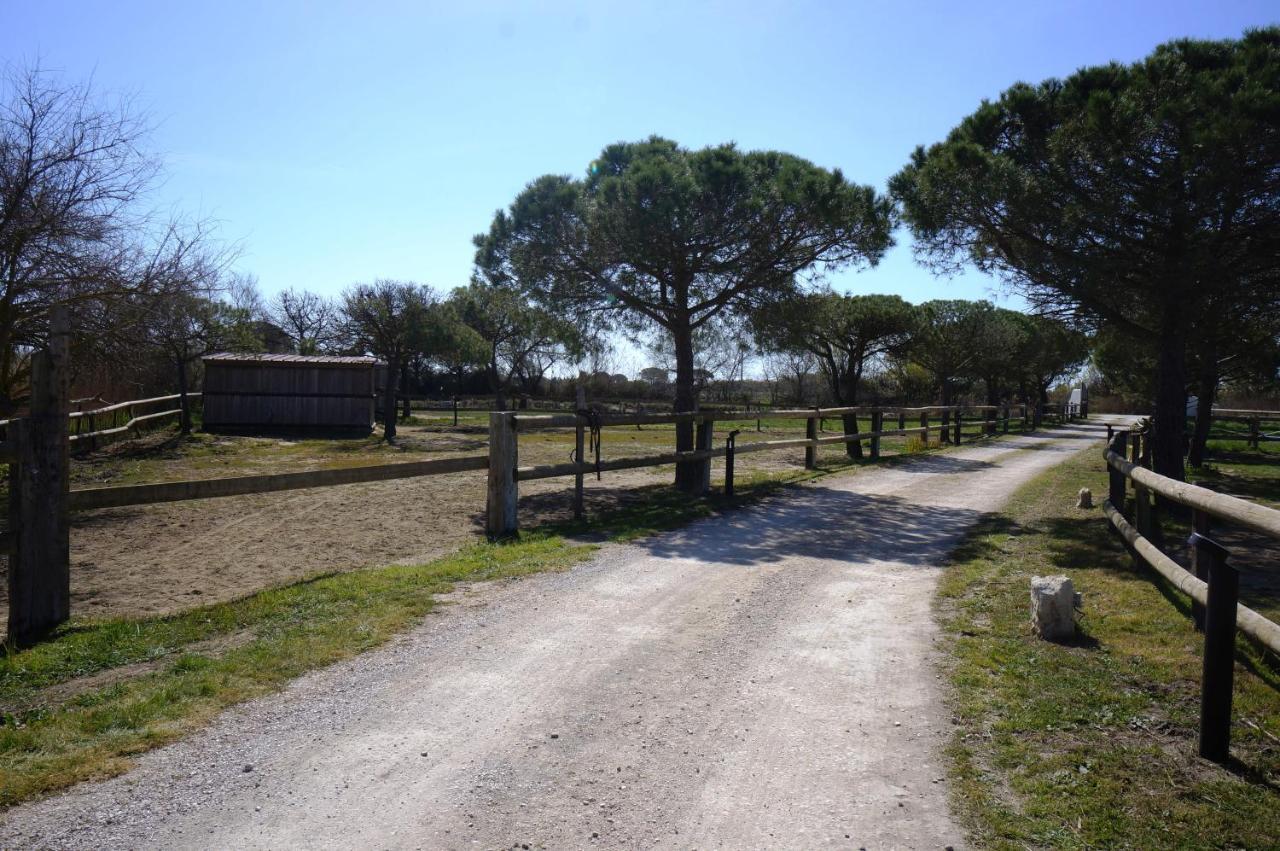 Equestres Lou Caloun - Les Maries De La