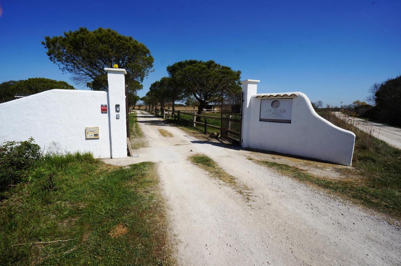 Equestres Lou Caloun - Les Maries De La Saintes-Maries-de-la-Mer